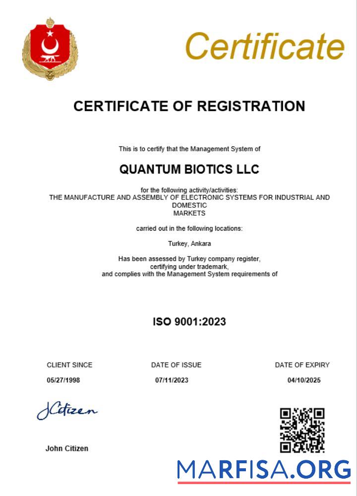 Blank Turkey business registration certificate Word and PDF template